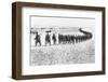 Troops Arriving in Mexico-null-Framed Photographic Print