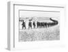 Troops Arriving in Mexico-null-Framed Photographic Print