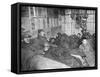 Troops at Rest, Dardanelles, Turkey, 1915-1916-null-Framed Stretched Canvas