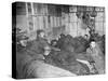 Troops at Rest, Dardanelles, Turkey, 1915-1916-null-Stretched Canvas