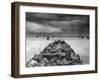 Troops Packed LCI Trailing in Wake of Coast Guard Manned LST for Invasion of Cape Sansapor-Harry Watson-Framed Premium Photographic Print