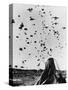 Troops Parachuting into Korea-null-Stretched Canvas