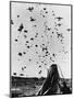 Troops Parachuting into Korea-null-Mounted Photographic Print
