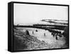 Troops Ready for Evacuation at Dunkirk-null-Framed Stretched Canvas