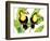 Tropcial Toucan Pair-Mary Escobedo-Framed Art Print