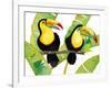 Tropcial Toucan Pair-Mary Escobedo-Framed Art Print