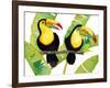 Tropcial Toucan Pair-Mary Escobedo-Framed Art Print