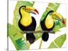 Tropcial Toucan Pair-Mary Escobedo-Stretched Canvas