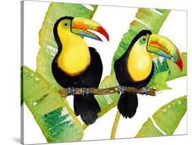 Tropcial Toucan Pair-Mary Escobedo-Stretched Canvas