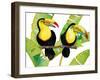 Tropcial Toucan Pair-Mary Escobedo-Framed Art Print