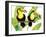 Tropcial Toucan Pair-Mary Escobedo-Framed Art Print