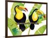 Tropcial Toucan Pair-Mary Escobedo-Framed Art Print