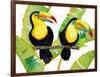 Tropcial Toucan Pair-Mary Escobedo-Framed Art Print