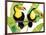 Tropcial Toucan Pair-Mary Escobedo-Framed Art Print