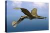 Tropeognathus Mesembrinus, a Large Pterosaur from the Late Cretaceous Period-null-Stretched Canvas