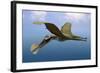 Tropeognathus Mesembrinus, a Large Pterosaur from the Late Cretaceous Period-null-Framed Art Print