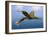 Tropeognathus Mesembrinus, a Large Pterosaur from the Late Cretaceous Period-null-Framed Art Print