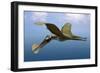 Tropeognathus Mesembrinus, a Large Pterosaur from the Late Cretaceous Period-null-Framed Art Print