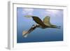 Tropeognathus Mesembrinus, a Large Pterosaur from the Late Cretaceous Period-null-Framed Art Print