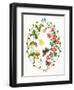 Tropeolium and Lonicera-Ursula Hodgson-Framed Giclee Print