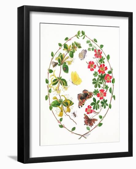 Tropeolium and Lonicera-Ursula Hodgson-Framed Giclee Print