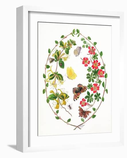 Tropeolium and Lonicera-Ursula Hodgson-Framed Giclee Print