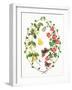 Tropeolium and Lonicera-Ursula Hodgson-Framed Giclee Print