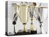 Trophies-Tom Grill-Stretched Canvas