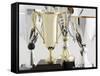 Trophies-Tom Grill-Framed Stretched Canvas