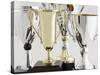 Trophies-Tom Grill-Stretched Canvas