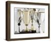 Trophies-Tom Grill-Framed Photographic Print