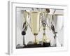 Trophies-Tom Grill-Framed Photographic Print