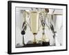 Trophies-Tom Grill-Framed Photographic Print