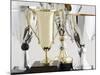 Trophies-Tom Grill-Mounted Photographic Print