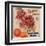 Trophy Brand - California - Citrus Crate Label-Lantern Press-Framed Art Print