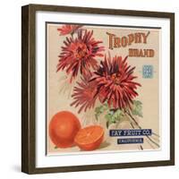 Trophy Brand - California - Citrus Crate Label-Lantern Press-Framed Art Print