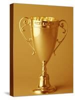 Trophy Cup-Paul Sutton-Stretched Canvas