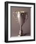 Trophy Cup-Paul Sutton-Framed Premium Photographic Print