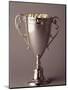 Trophy Cup-Paul Sutton-Mounted Premium Photographic Print