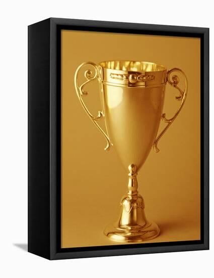 Trophy Cup-Paul Sutton-Framed Stretched Canvas