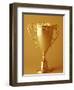 Trophy Cup-Paul Sutton-Framed Photographic Print