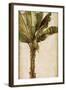 Tropic Banana I-Patricia Pinto-Framed Art Print