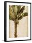 Tropic Banana I-Patricia Pinto-Framed Art Print