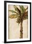 Tropic Banana II-Patricia Pinto-Framed Art Print