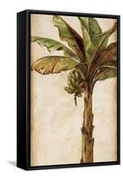 Tropic Banana II-Patricia Pinto-Framed Stretched Canvas