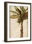 Tropic Banana II-Patricia Pinto-Framed Art Print