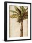 Tropic Banana II-Patricia Pinto-Framed Art Print