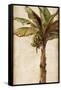 Tropic Banana II-Patricia Pinto-Framed Stretched Canvas