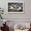 Tropic Bird-John James Audubon-Framed Giclee Print displayed on a wall