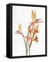 Tropic Floral 2-Ann Bailey-Framed Stretched Canvas